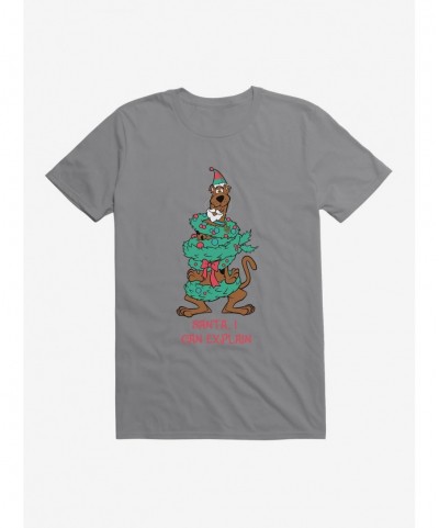 Wholesale Scooby-Doo Holiday Santa, I Can Explain T-Shirt $7.84 T-Shirts